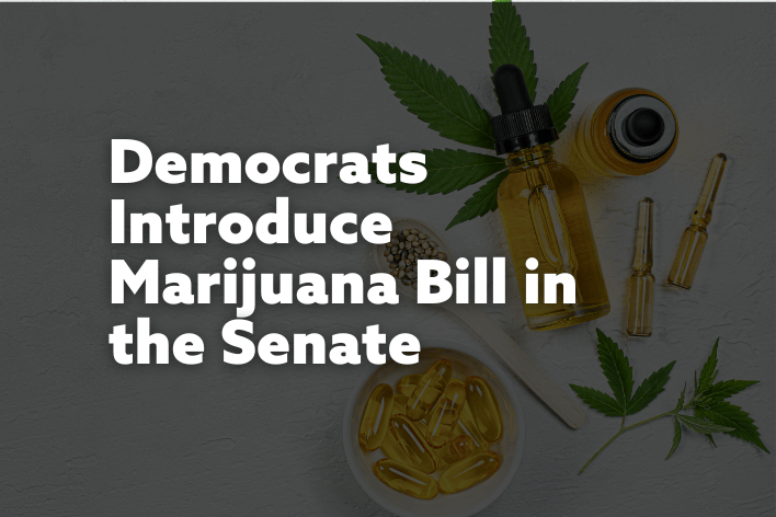 democrats introduce marijuana bill in the senate