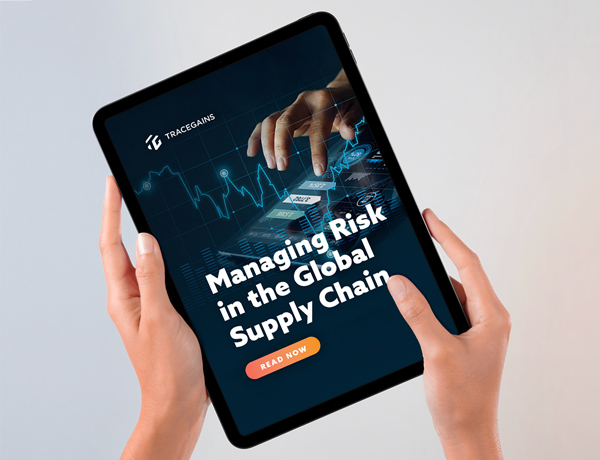 Managing Risk in the Global Supply Chain