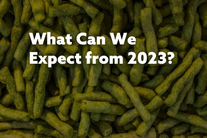 Sustainable snacks, green, global flavors with text overlay 