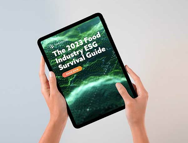 Hands holding tablet with cover of 