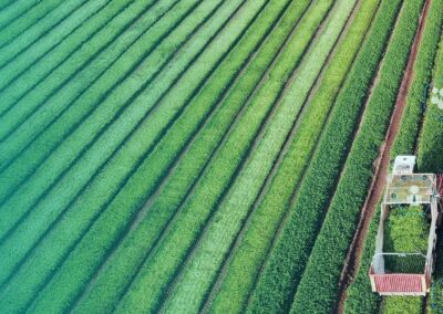 Food Safety Threats Are Rising—Here’s How Traceability Can Help, According to a Food Lawyer