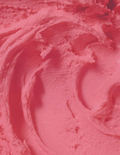 Hudsonville Ice Cream