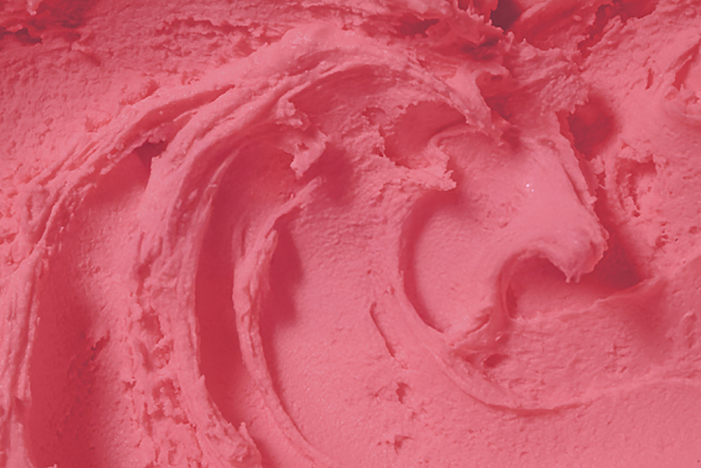 Hudsonville Ice Cream