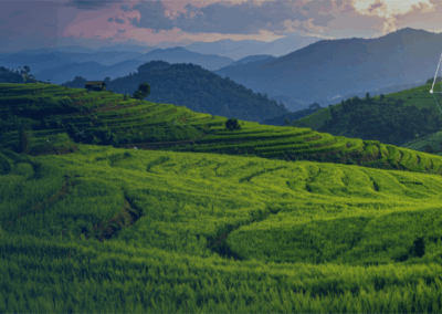 Traceability Secrets for Resilient Supply Chains