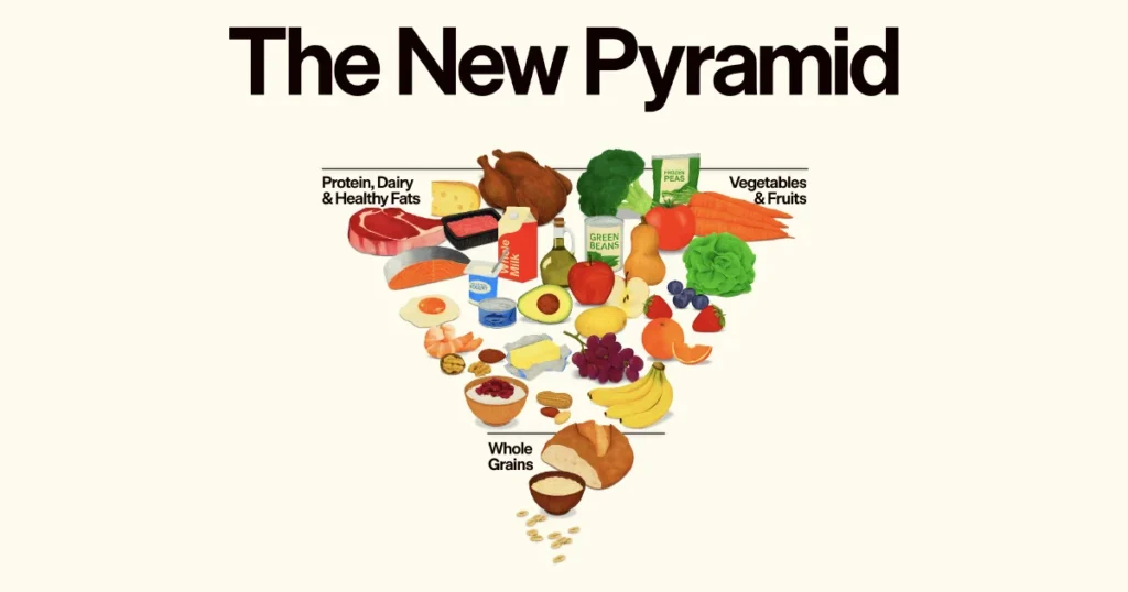 Updated food pyramid, 2026 U.S. Dietary Guidelines from U.S. Department of Agriculture/U.S. Department of Health and Human Services.
