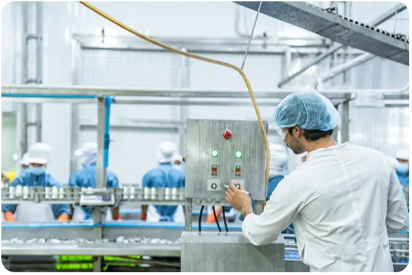 Production line in a food factory with F&B workers in the background